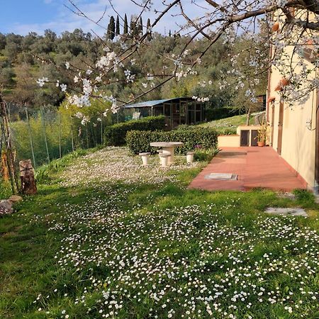 Ferienwohnung Dependance Nel Chianti A Pochi Minuti Da Firenze Impruneta Exterior foto