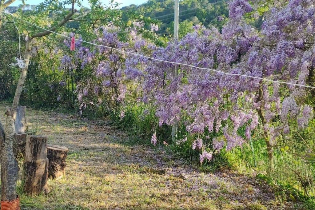 Ferienwohnung Dependance Nel Chianti A Pochi Minuti Da Firenze Impruneta Exterior foto