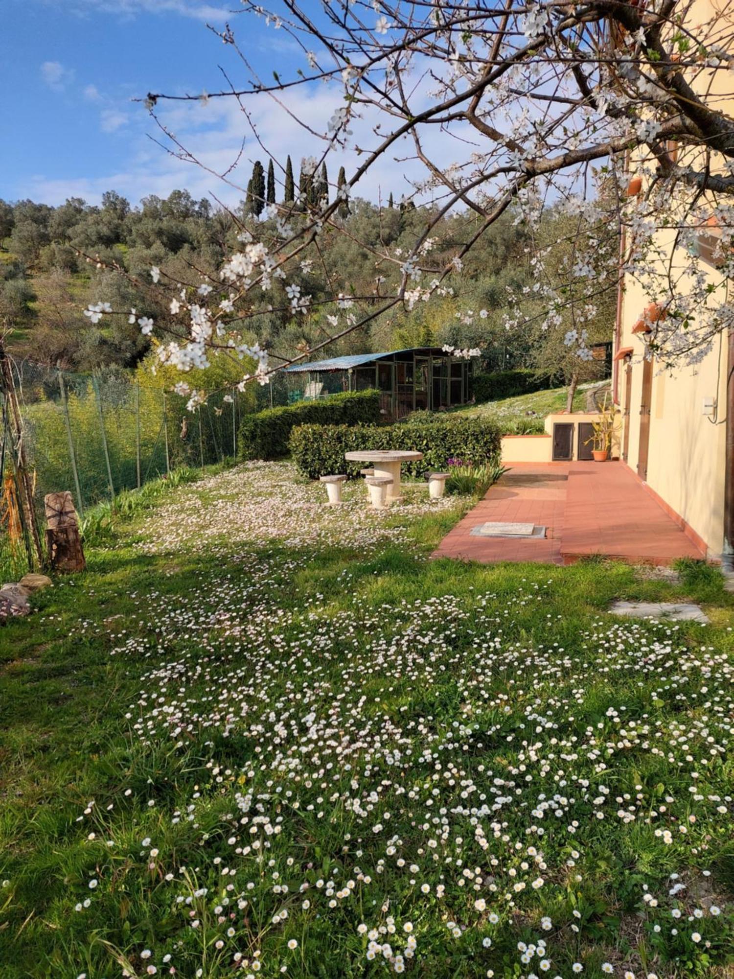Ferienwohnung Dependance Nel Chianti A Pochi Minuti Da Firenze Impruneta Exterior foto